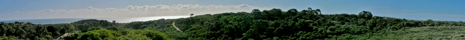 Trigg Bushland Reserve panorama and Indian Ocean