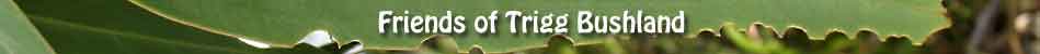 banner containing various photos of Trigg bushland